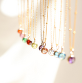 Birthstone Drop Necklace • January