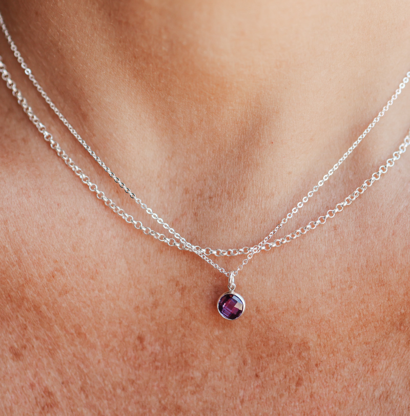 Birthstone Drop Necklace • February