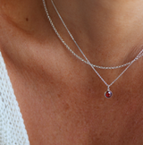 Birthstone Drop Necklace • January