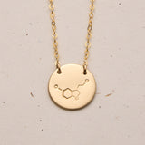 serotonin chemical symbol large pendant necklace double hole fixed necklace