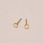 tiny circle studs goldfill sterling silver rose goldfill butterfly backs hypoallergenic sterling silver